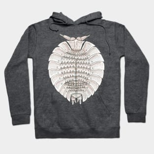 Coatonia phylloniscoides Isopod Hoodie